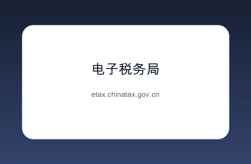 电子税务局