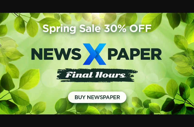 Newspaper 主题官网