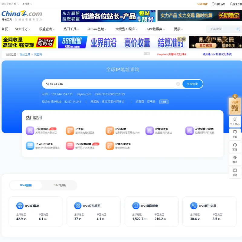 站长工具 IP 地址查询官网