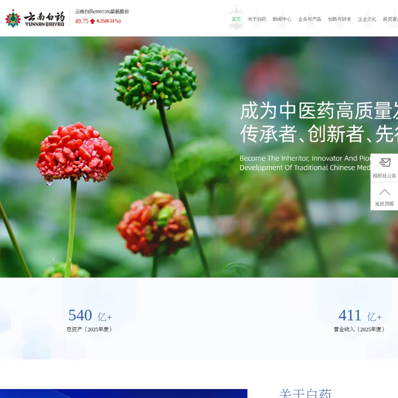 云南白药 Yunnan Baiyao