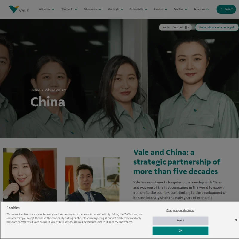 淡水河谷（Vale）中国官方网站