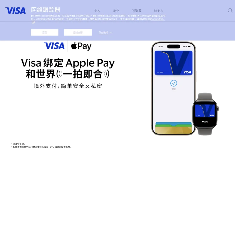 Visa 中国官方网站