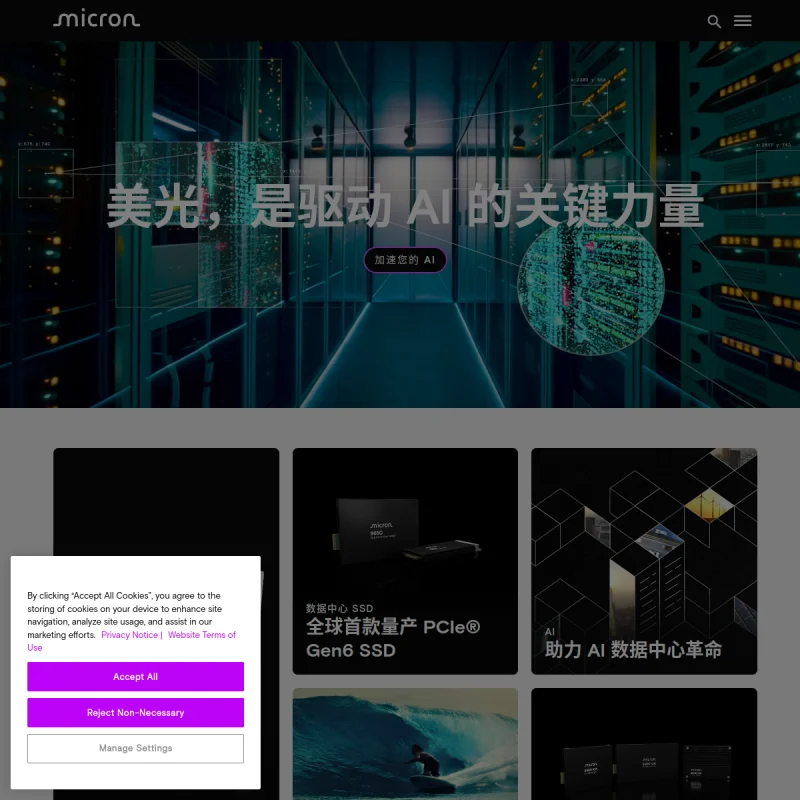 美光 Micron