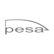 佩萨 PESA