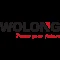 卧龙电驱 Wolong