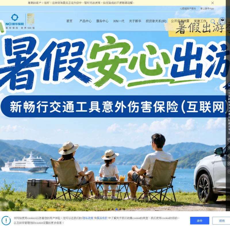 新华保险 NCI