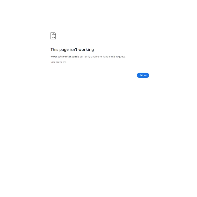 CATTI 翻译专业资格考试网 – 全国翻译专业资格 (水平) 考试官方资讯与报名服务中心